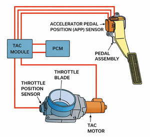 Throttle-by-Wire System using Sensors and Actuators